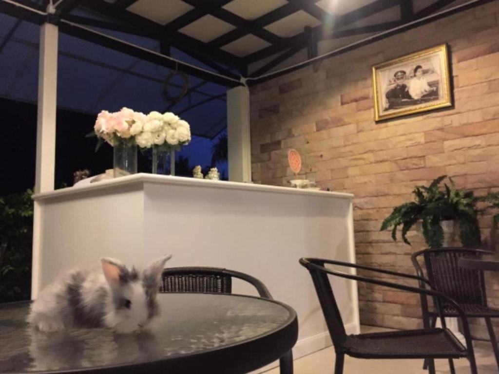 V Valley Resort Satun Bagian luar foto