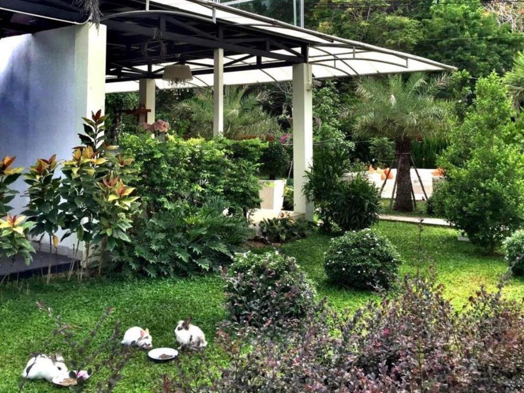 V Valley Resort Satun Bagian luar foto