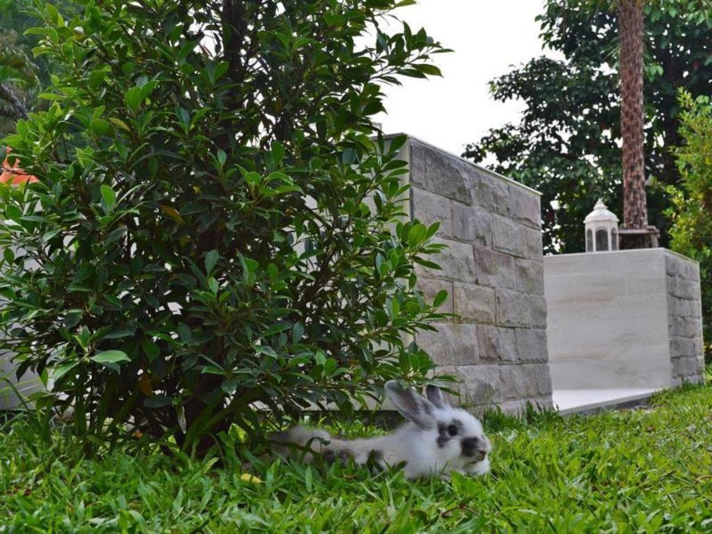 V Valley Resort Satun Bagian luar foto