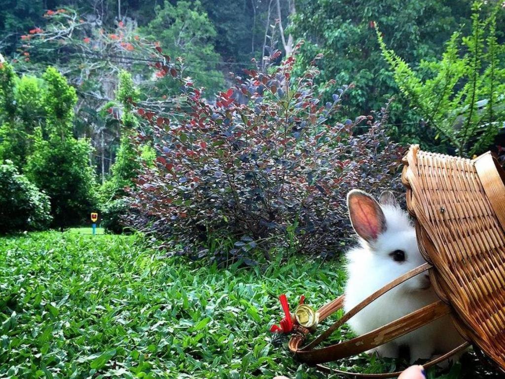 V Valley Resort Satun Bagian luar foto