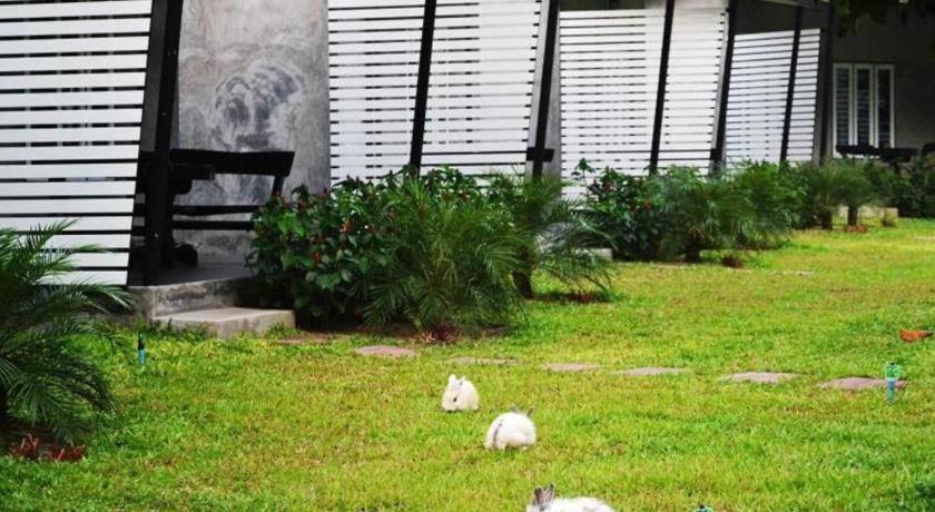 V Valley Resort Satun Bagian luar foto