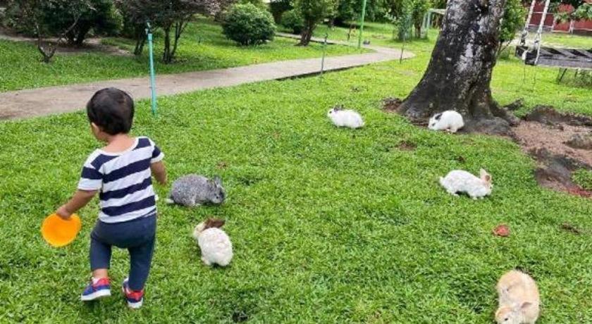 V Valley Resort Satun Bagian luar foto